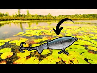 Catch GIANTS Throwing THIS LURE Now!!!