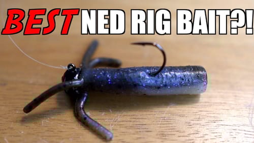 3 Ned Rig Baits you NEED To Try For BIG Smallmouth Bass!