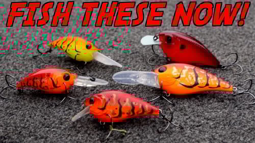 Why you NEED TO Fish Red Crankbaits Spring Bass Fishing!