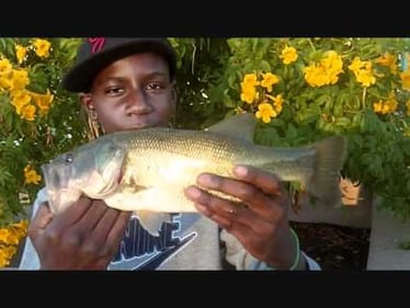 Late Fall Bass Fishing