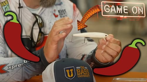Bass University Shares the Pro Fishing Secrets - 釣りの秘密