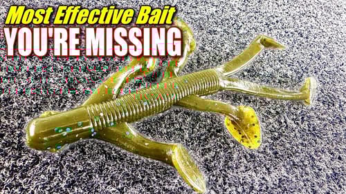 The Most Effective Bait You Are Probably Not Using