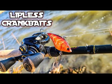 First Bass Fishing Trip of 2020 | Red Lipless Crankbaits in COLD Muddy Water