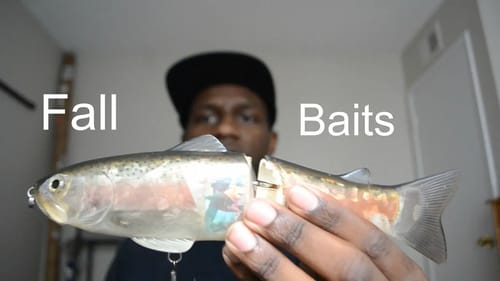 Top 5 Fall Bass Fishing Baits