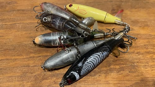 The Downfall Of The Whopper Plopper…