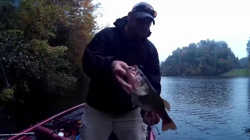 BassGeek Intro