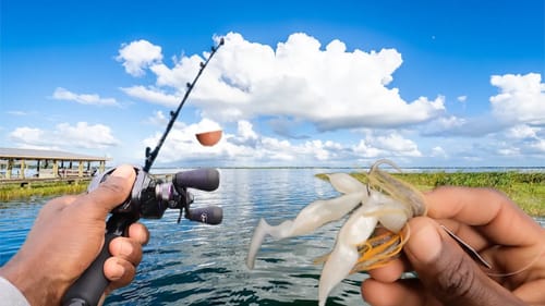 Fishing a  Ultra Clear Spring Fed Lake