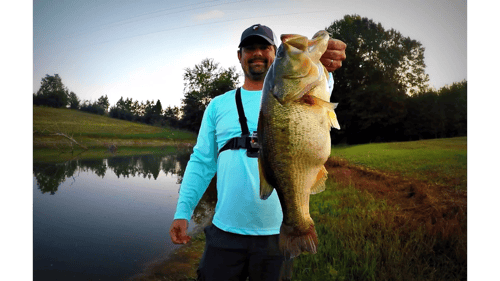 Pond Fishing Buzzbaits and Rats - MONSTER!