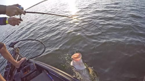 BIG BASS Adrenaline Rush | International Cup Challenge Day 1