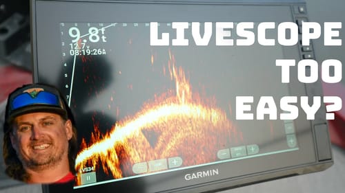 Has Livescope Ruined Swimbait Fishing And Made It Too Easy?