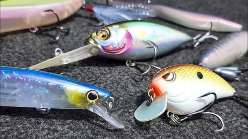 Top 5 Baits For October Bass Fishing!