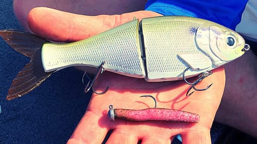 DON’T Fish Like Everyone Else (Fish The EXTREMES)