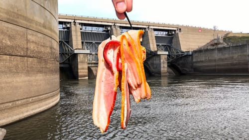 This River MONSTER Took All MY LINE!!! (BIGGEST in YEARS!)