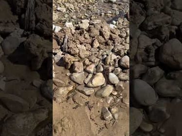 Spring water on a Lake Michigan beach!