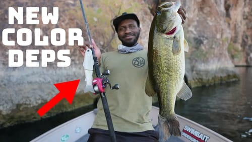 This New Deps Slide Swimmer Color Is Money For Big Fish!