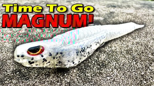 When You Should Fish A MAG HOVER RIG!