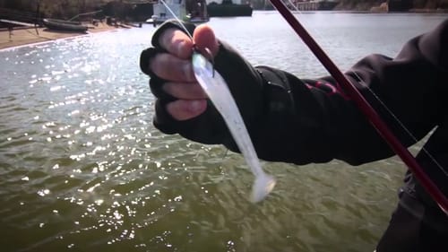 Tip to Decide the Quality of a Soft Swimbait