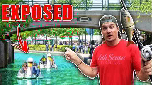 NO ONE Believed Fish Live in this Busy Urban Canal!! (Urban Bank Fishing)