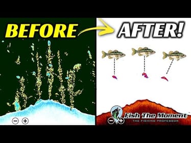 Transform Your Fish Finder Image in 5 Minutes – Ideal Fish Finder Settings For Finding Bass