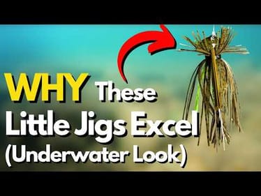 WHEN and WHY To Use a Finesse Jig (Underwater Look)