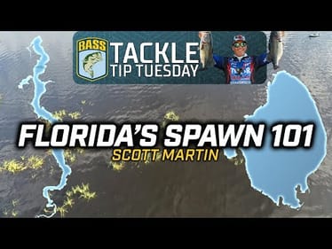 Scott Martin breaks down Florida's Spawn Cycle