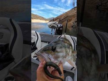 This Fish had a Bigger One with it 🫠#BassUnion #BassUnionJigs #BassUnionGuideService