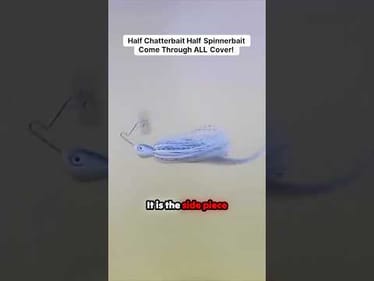 NEW Category Of Bait!