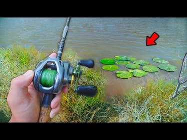 Fishing For BIG BASS Loaded In HIDDEN Ponds! (Bank Fishing)