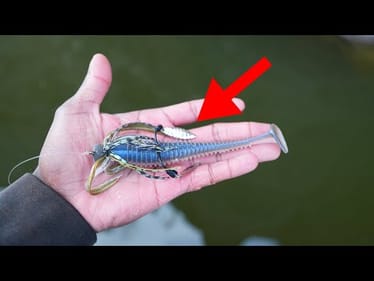 Use These Lures To Catch Giant Bass Right Now!