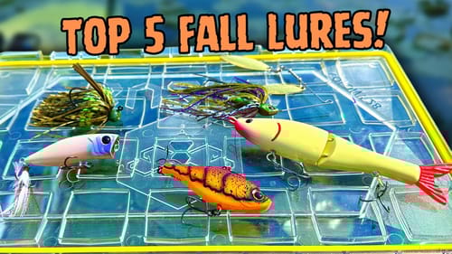 Top 5 Fall Bass Fishing Lures! (TRY THESE NOW!)