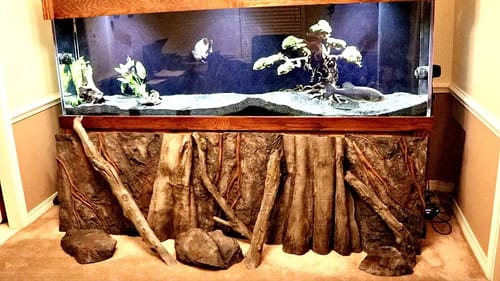 300 Gallon Fish Tank 3D Background!!