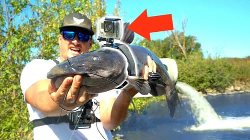 I Strapped a GoPro on a GIANT Fish!!! (SURPRISE Underwater Footage)