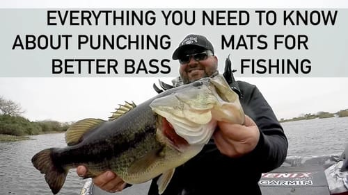 MASTER CLASS on Punching Mats for Bass with Greg Hackney