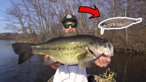Searching for BIG Pre Spawn Bass with Swimbaits From My 10' Pelican Boat