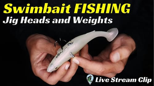 The Most Common Swimbait Mistake | FTM Live Stream #74