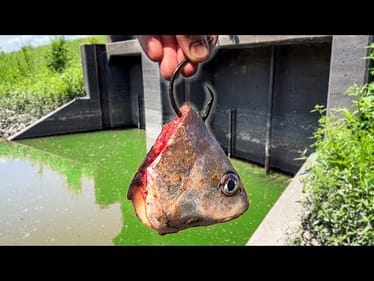 Only BIG FISH are Allowed in this NEW Spillway!!! (EPIC New Spot!)