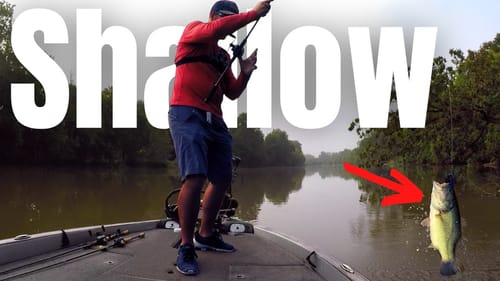 Late SUMMER Bass Fishing (Not Where You Would Expect)
