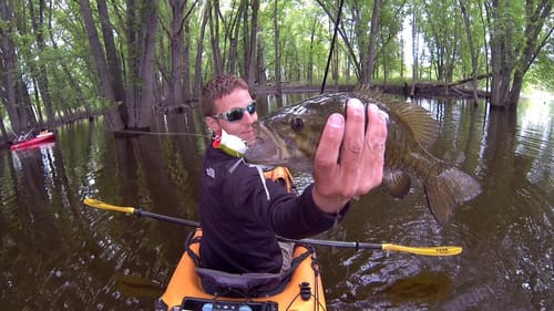 Topwater Smallies On The Mississippi 6-7-2013