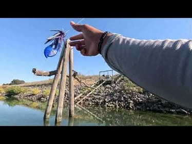 FUTURE PRO TOUR TOP 75 TOC-Pre-fish
