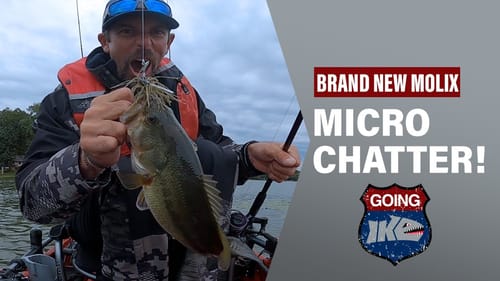 Fishing the BRAND NEW Molix MICRO CHATTER