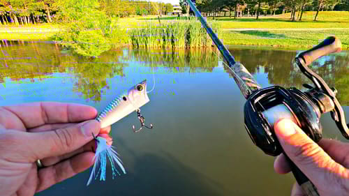 New Popper Produces BIG Topwater Blowups!