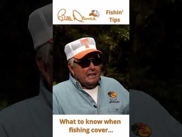 What to know when fishing cover...