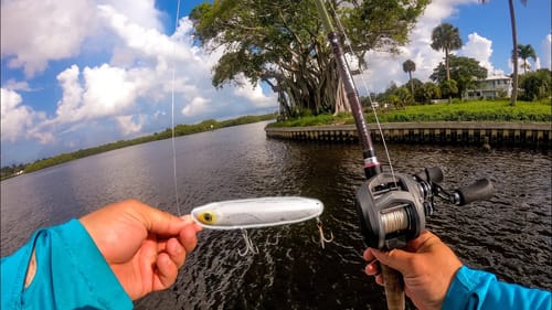 Sight Casting Big Fish with Topwaters