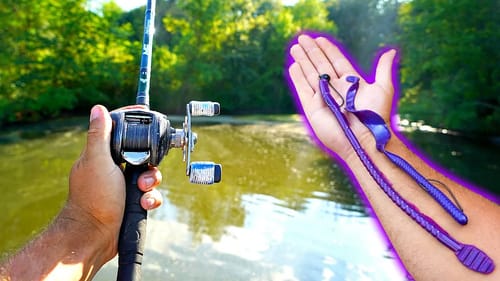Fishing MONSTER Worms for GIANT Summer Bass!!
