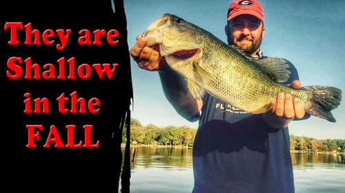Bass Fishing Shallow in the Fall