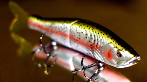 Which Big Swimbait Should You Try First?