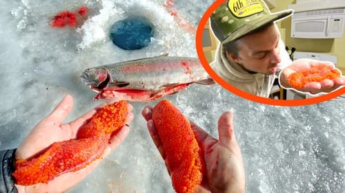 Eating RAW vs. COOKED Fish Eggs: DELICIOUS or DISGUISTING??? (Catch & Cook)