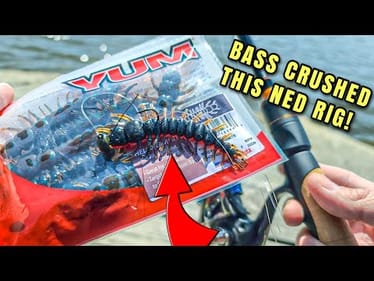 Bass LOVED This New Ned Rig! (Spring Bank Fishing)