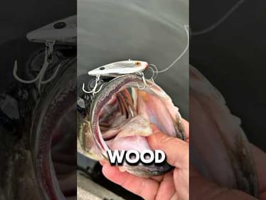 This Lure CRUSHES Bass in Cold Water! (Under 50°F) 🔥