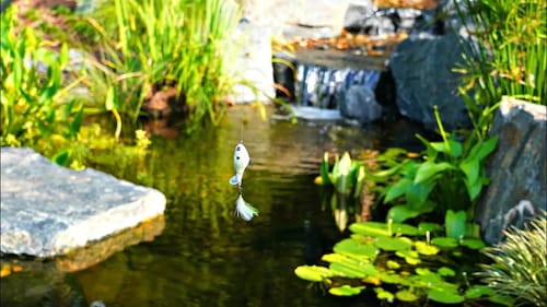 PET BASS ATTACK TOPWATER FISHING LURES!!